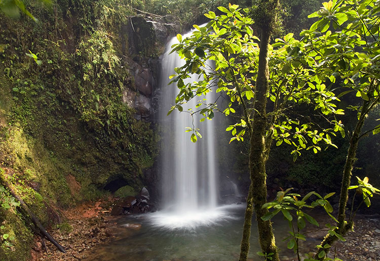 boquete lost waterfalls hiking in boquete los quetzales trail chiriqui panama